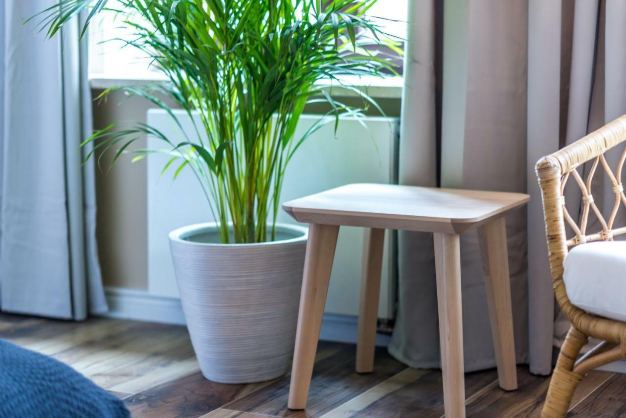شقة بوزنان  في "Havana" Apartament Premium Przy Starym Rynku المظهر الخارجي الصورة